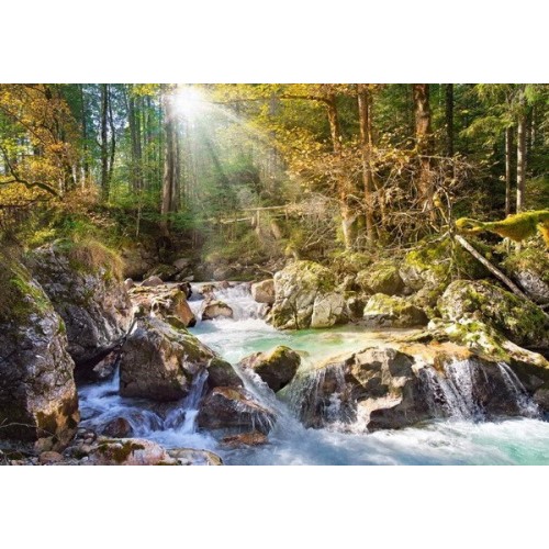 The forest stream, Castorland puzzle 2000 pc