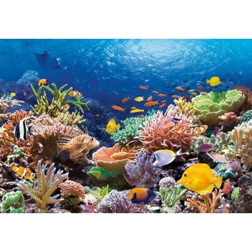 Coral Reef Fishes, Castorland Puzzle 1000 pc