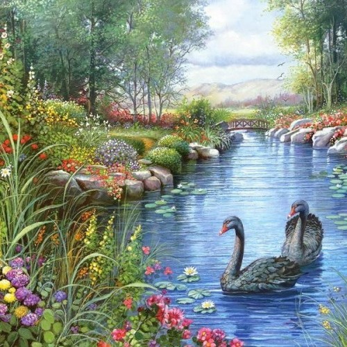 Black Swans - Andres Orpinas, Castorland puzzle 1500 pc