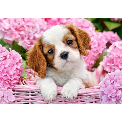Pup in Pink Flowers, Castorland Puzzle 500 pcs