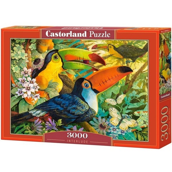 Interlude - David Galchutt, Castorland puzzle 3000 db