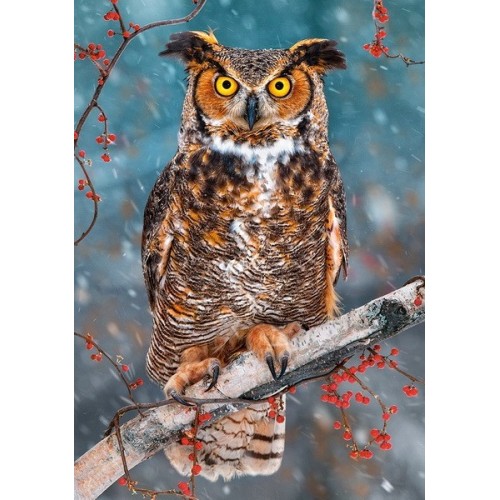 Great Horned Owl, Castorland Puzzle 500 pcs