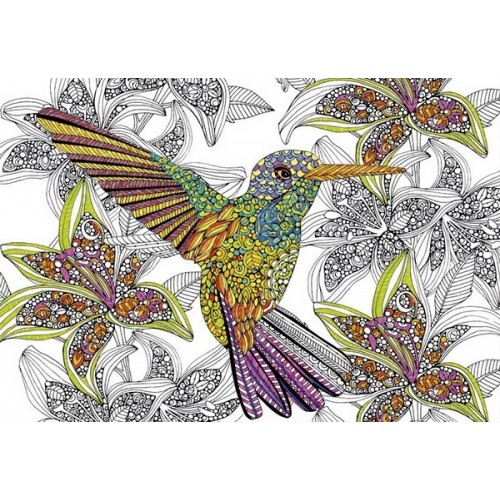 Hummingbird, Educa colouring puzzle 300 pc