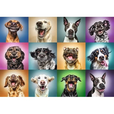 Funny dog portraits, Trefl puzzle 1000 pc