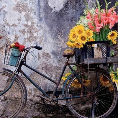 A virágárus biciklije, 500 darabos Educa puzzle