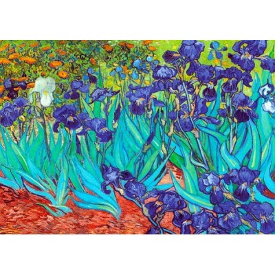 Íriszek - Van Gogh, 1000 darabos D-Toys puzzle