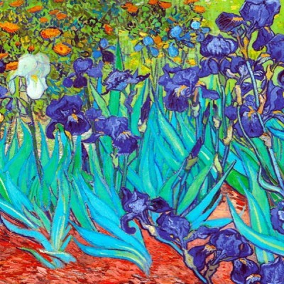 Irises - Van Gogh, D-Toys puzzle 1000 pc