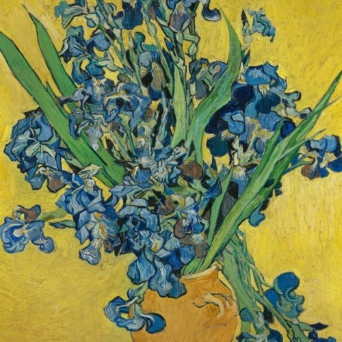 Íriszek vázában - Van Gogh, 1000 darabos D-Toys puzzle