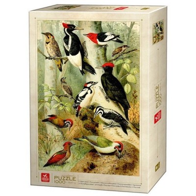 Bird Encyclopedia, Deico puzzle 1000 pc