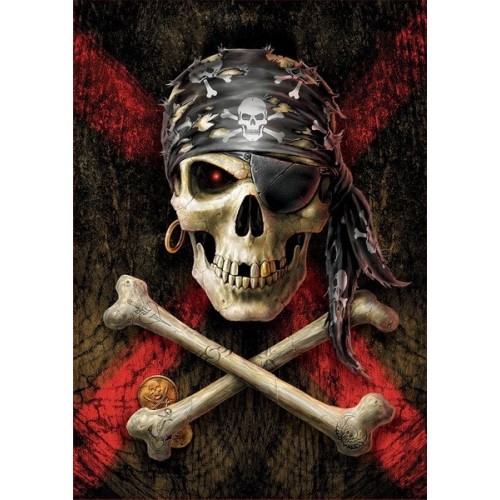 Pirate Skull, Educa Puzzle 500 pcs