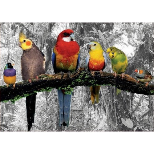 Birds on the jungle, Educa Puzzle 500 pcs