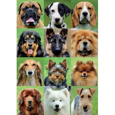 Dogs Collage, Educa Puzzle 500 pcs