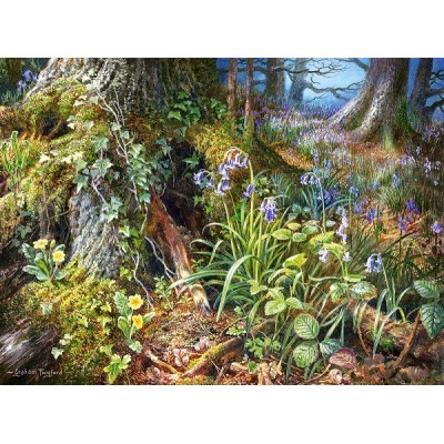 From Rusland Woods, Castorland puzzle 2000 pc