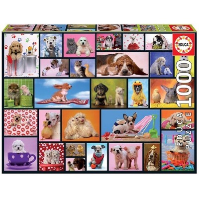 SHARED MOMENTS, Educa Puzzle 1000 pc