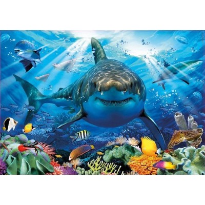 A nagy fehér cápa, 500 darabos Educa puzzle